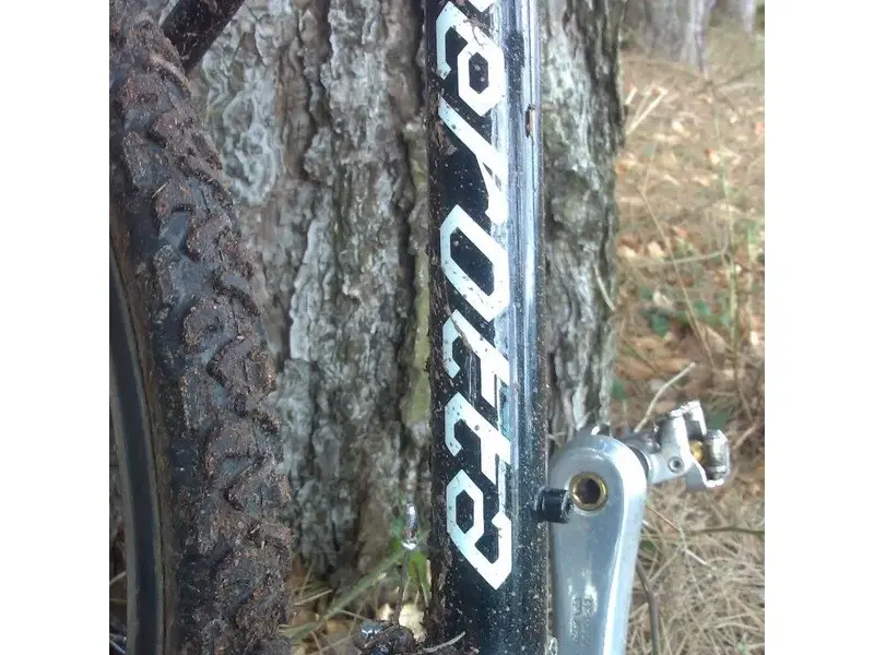 downserotta.webp