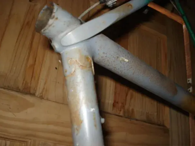DSC01166.webp