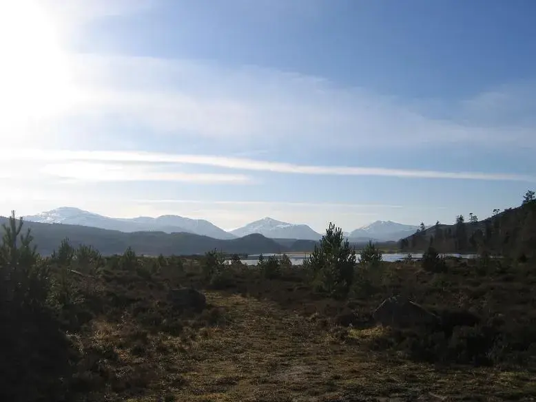 scotland.webp