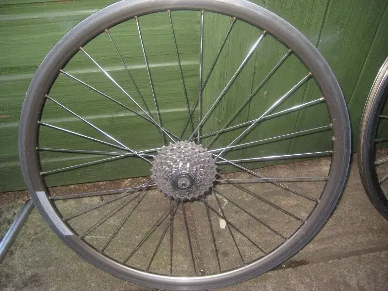 Wheels 3.webp