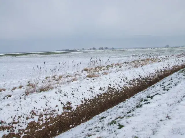 DSCF1090.webp