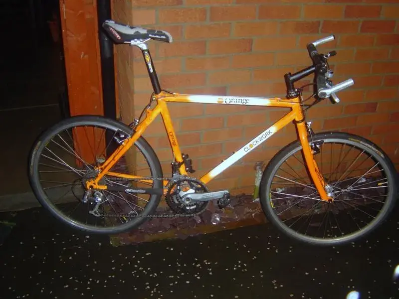 orange (Medium).webp