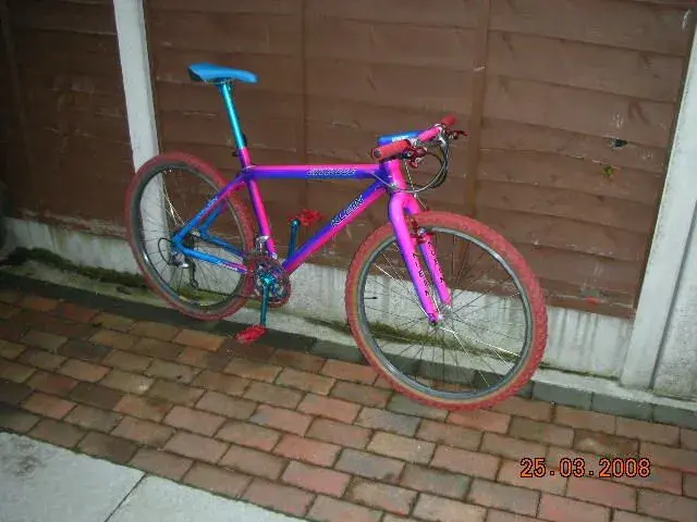 DSCN3844.webp