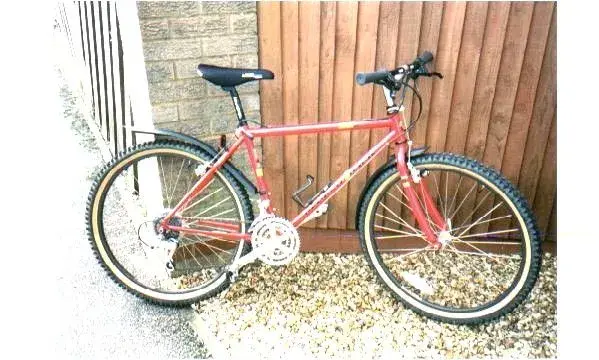 Diamondback Apex.webp