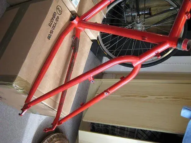 rear triangle.webp