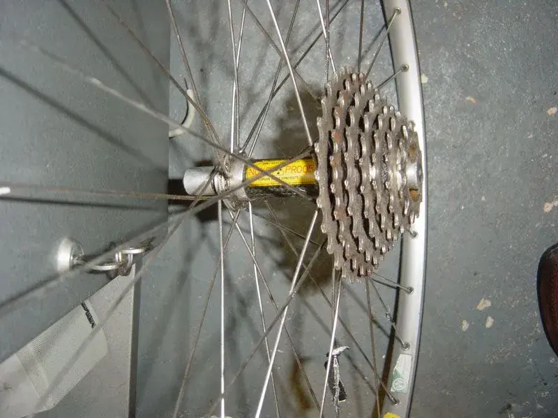 wheel2.webp
