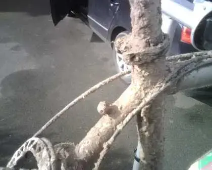 Mud#2.webp