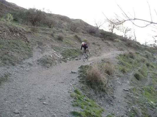 sierra nevada - 09.webp