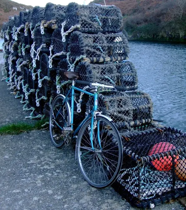 pots bike-s.webp
