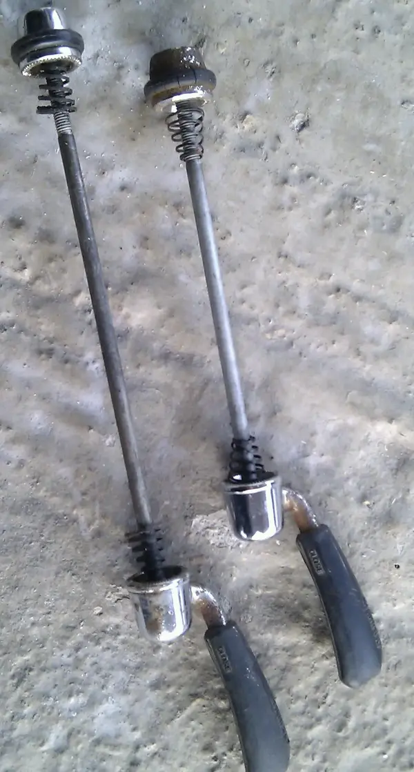 IMAG3166-1.webp