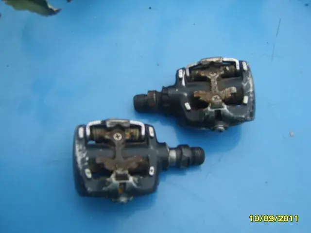 SV200601 (2).webp