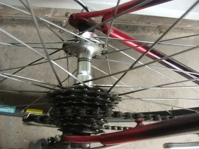 DSCF7576.webp