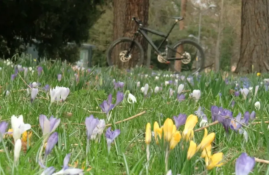 spring2012.webp