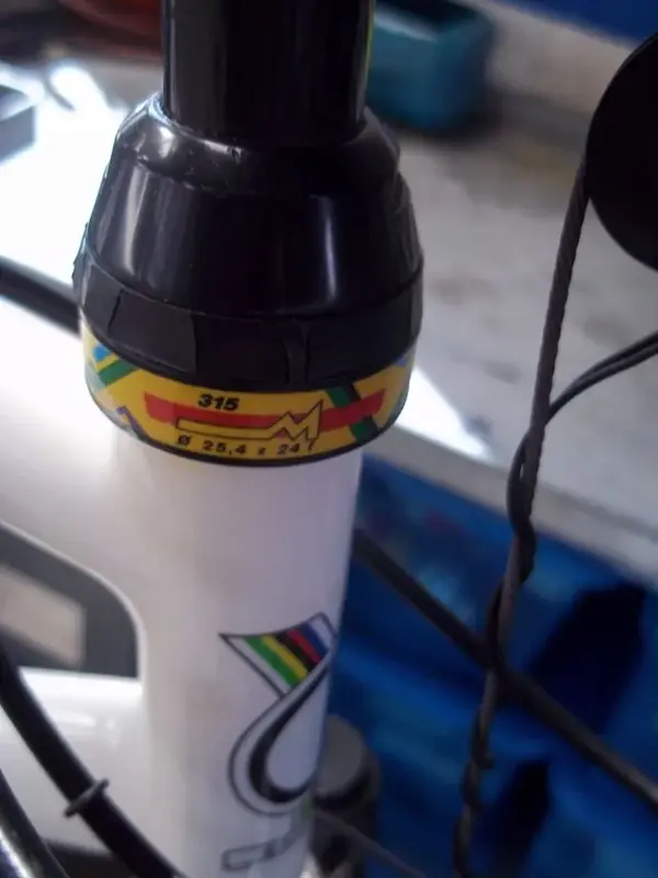 Mavic...webp