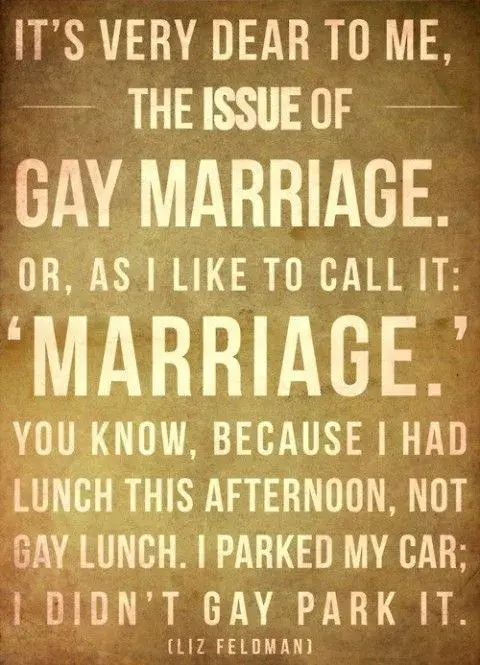 gay-marriage.webp