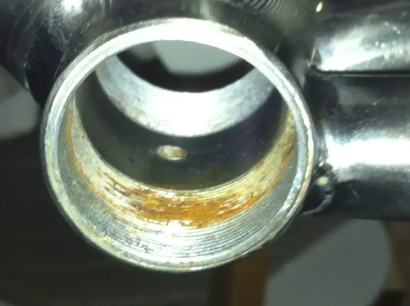 BB shell half clean.webp