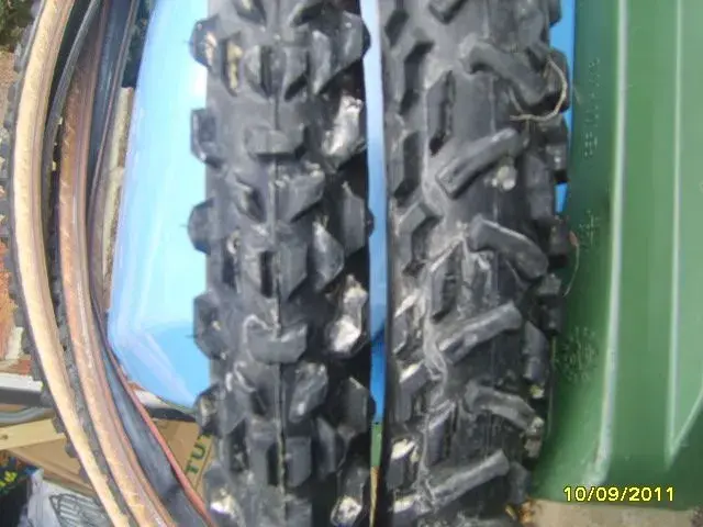 SV200591.webp