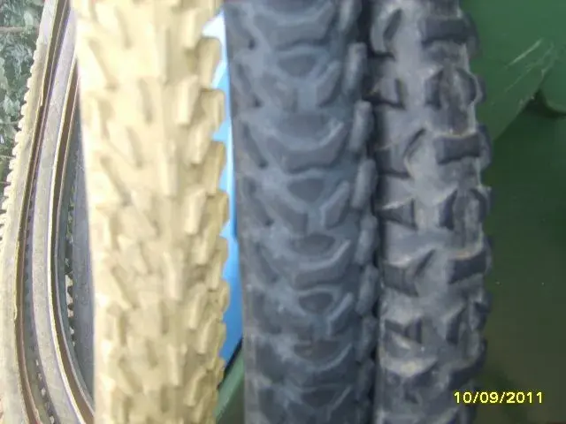 SV200603.webp