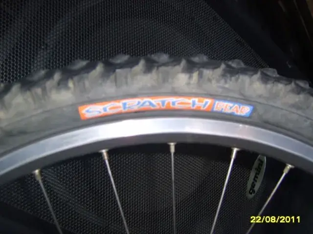 SV200619.webp