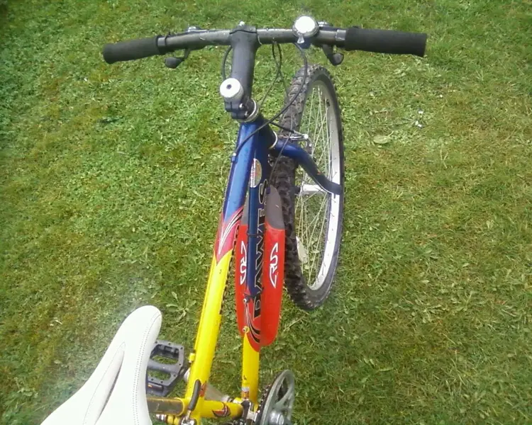 Photo-0094_e1.webp