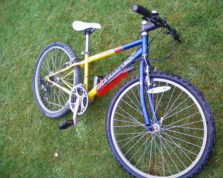 Photo-0090.webp