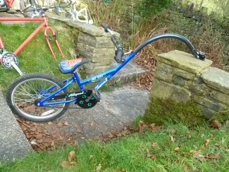 Alleycat AC100.webp