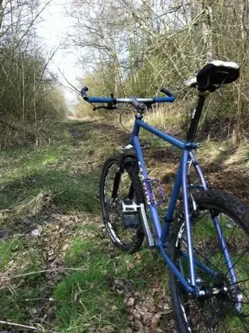 hacked_ride3 (Small).webp