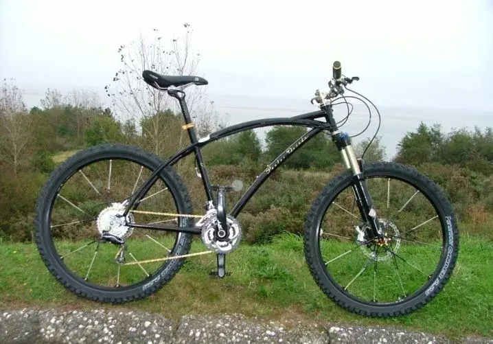 black%20mountain%20bike%20side_0.webp