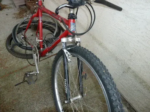 Mongoose IBOC Pro 003.webp