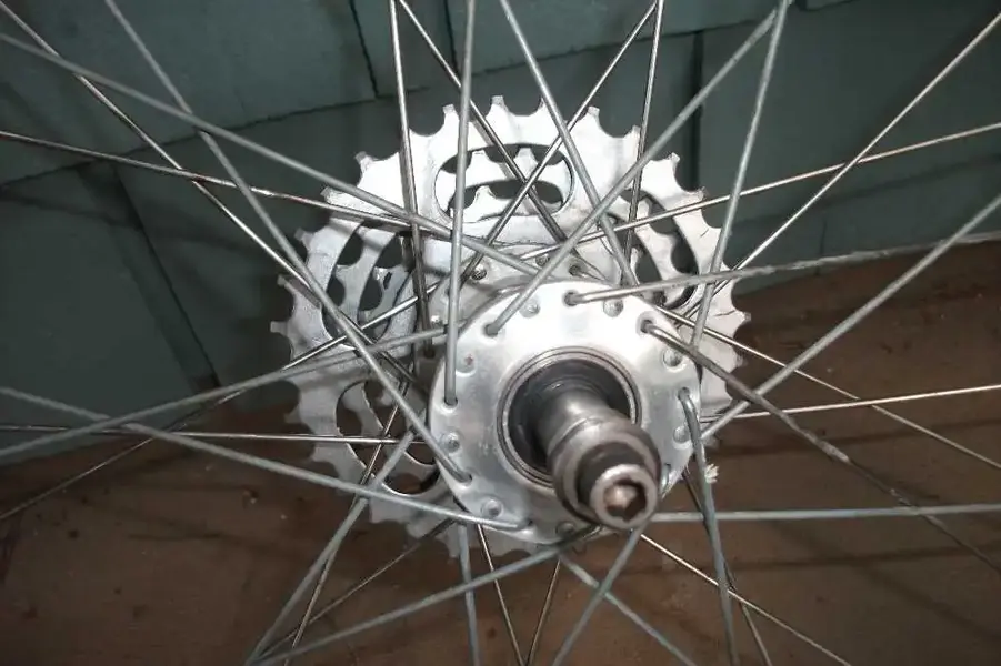 Phil Hubs, Regina freewheel.webp