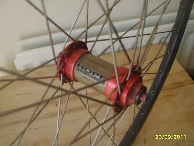 SV200642.webp