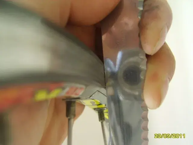 SV200655.webp