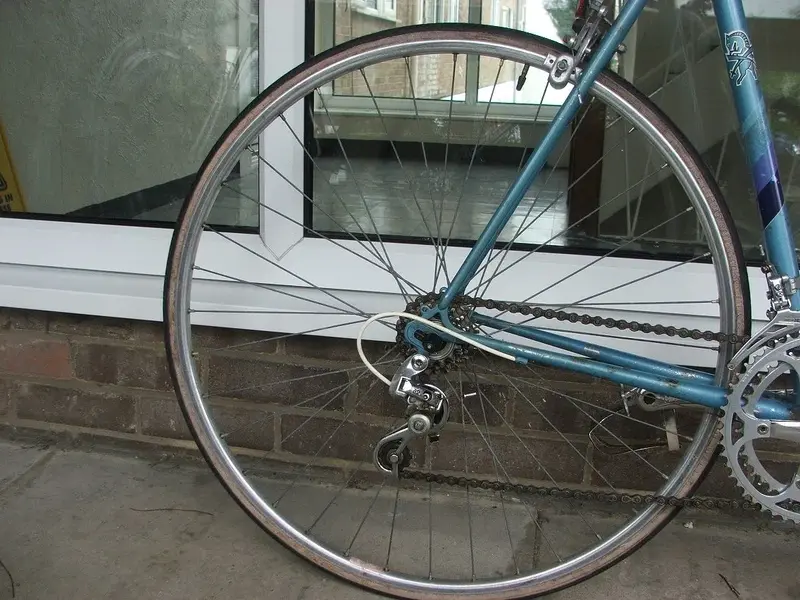 DSCF7584.webp