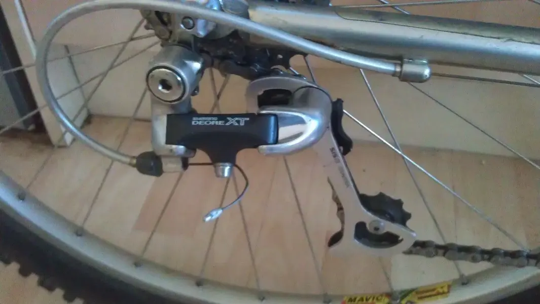 IMAG0359C.webp