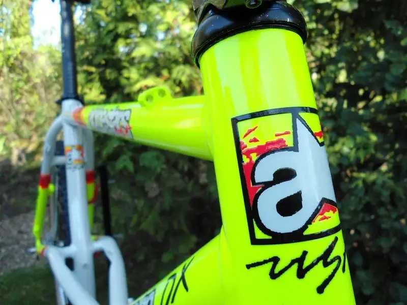 DSC00103.webp