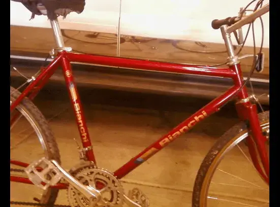85 bianchi (Medium).webp