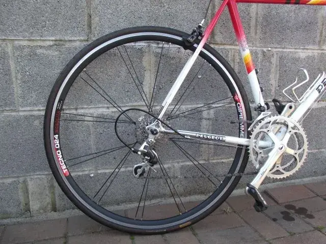 DSCF1774.webp