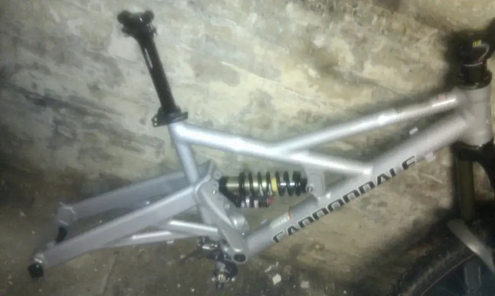 IMAG0319.2.webp