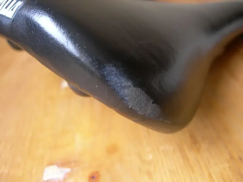 DSCN8652.webp