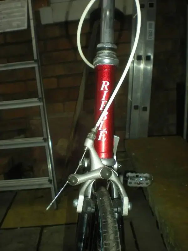 dscn2166_optimized_159.webp