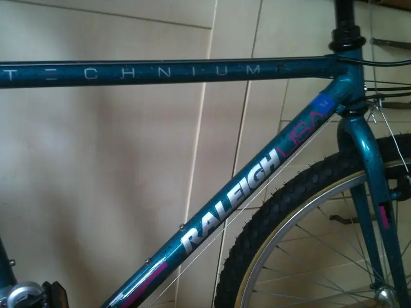 raleigh 3.webp