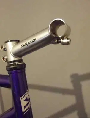 saracen stem.webp