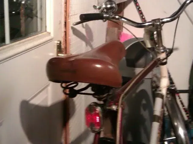 IMAG0240.webp