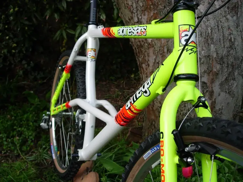 DSCN2442.webp
