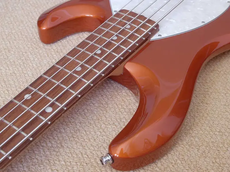 Stingray-1.webp