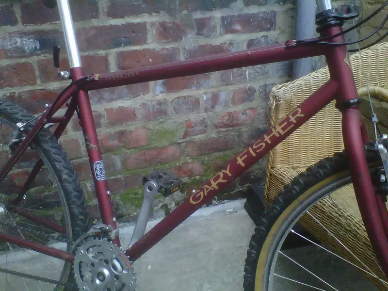BIKE 005.webp