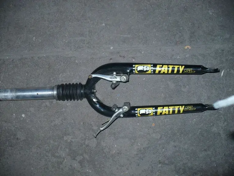 fatty2.webp