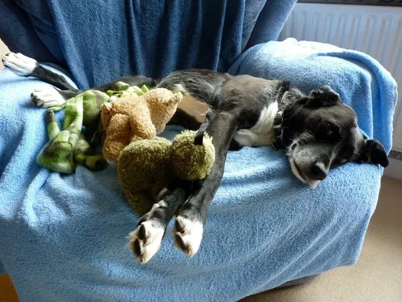 chilled out rox!.webp