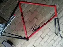 bird frame.webp
