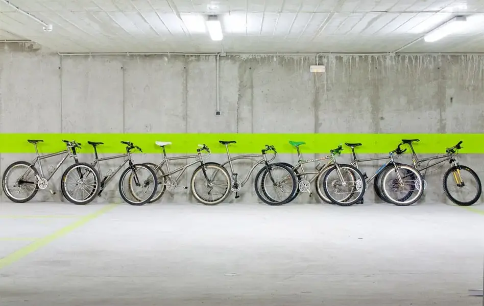 Bicis.webp